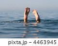 4463945