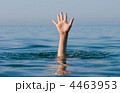 4463953