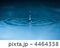 4464338