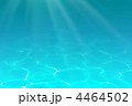 4464502