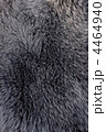 4464940