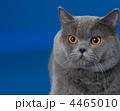4465010