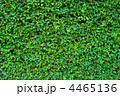 4465136