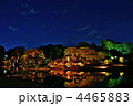 駒込・六義園　ライトアップ