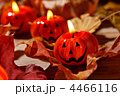 4466116