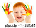 4466365