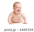 4466394