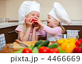 4466669
