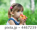 4467239