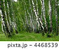 4468539