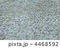 4468592