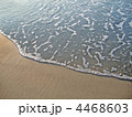 4468603