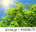 4468670