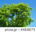 4468673