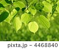 4468840