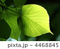 4468845