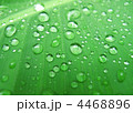 4468896