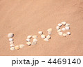 貝殻でLOVE