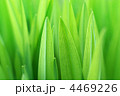 4469226