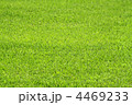 4469233