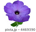 4469390