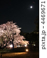駒込・六義園　庭園枝垂れ桜ライトアップと月