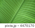 葉