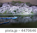 夜桜
