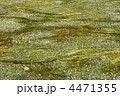 4471355