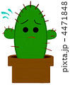 サボテン　困る