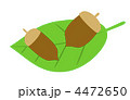 どんぐり