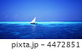 青い海とドーニ