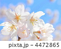 4472865