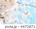 4472871