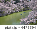 2012年４月7日　千鳥ヶ淵　桜