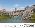 2012年４月7日　千鳥ヶ淵　桜