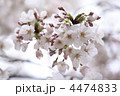 4474833