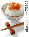 明太子ごはん