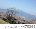 ｓｐｒｉｎｇ　ｔｈｅ　ＵＮＺＥＮ