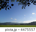 田舎の風景