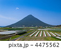 開聞岳とJR指宿枕崎線
