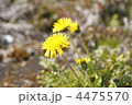 4475570