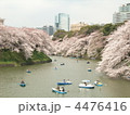 千鳥ヶ淵の桜
