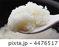 ごはん
