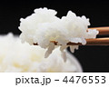 ごはん