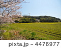 春の香具山