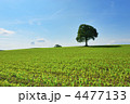 4477133