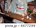 琴の演奏