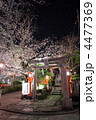 祇園白川　辰巳大明神と夜桜