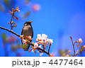 4477464
